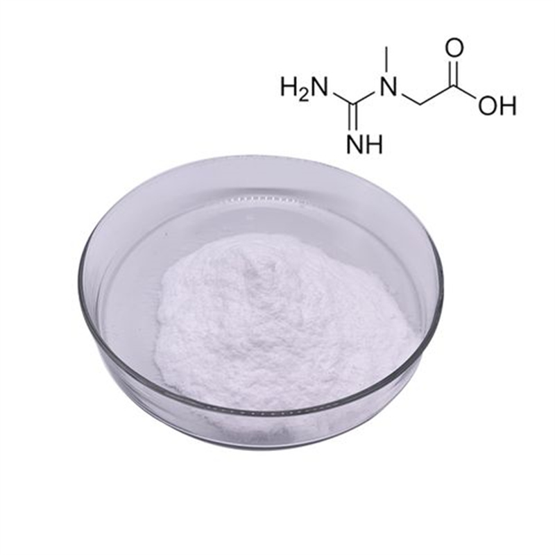 Creatine Monohydrate CAS 6020-87-7 Berkualitas Tinggi